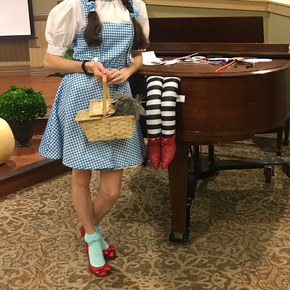 Wizard of Oz Dorothy costume adult one size